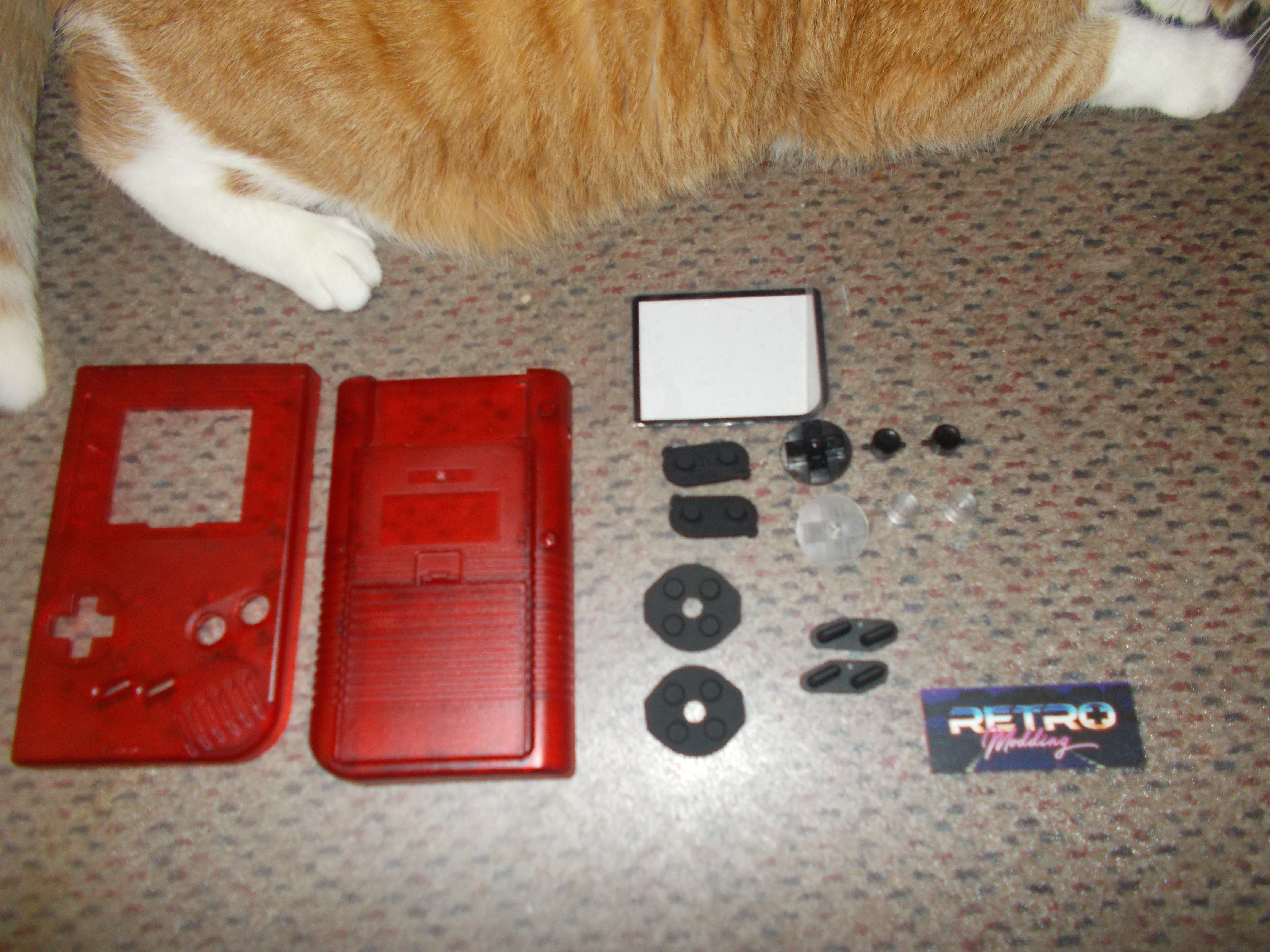 DSCN0740.JPG